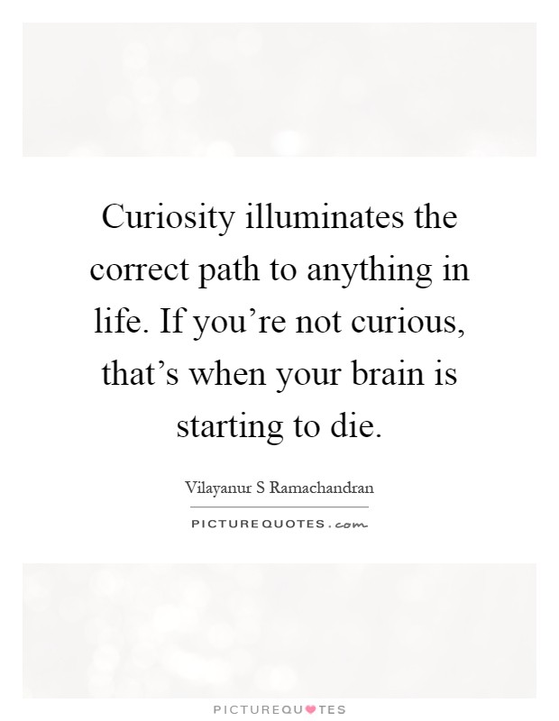 Curiosity illuminates the correct path to anything in life. If you're not curious, that's when your brain is starting to die Picture Quote #1