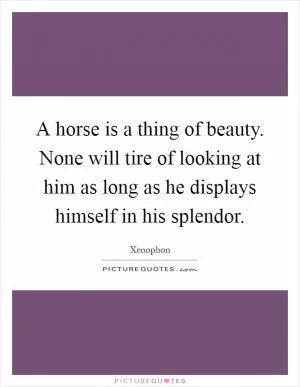 A horse is a thing of beauty. None will tire of looking at him as long as he displays himself in his splendor Picture Quote #1