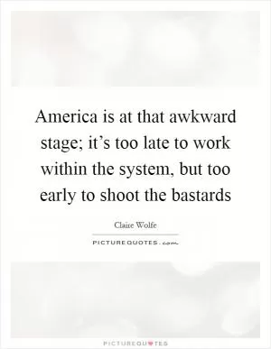 America is at that awkward stage; it’s too late to work within the system, but too early to shoot the bastards Picture Quote #1