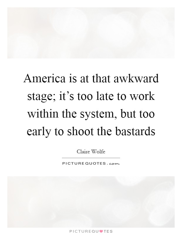 America is at that awkward stage; it's too late to work within the system, but too early to shoot the bastards Picture Quote #1