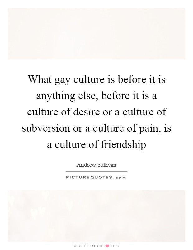What gay culture is before it is anything else, before it is a culture of desire or a culture of subversion or a culture of pain, is a culture of friendship Picture Quote #1