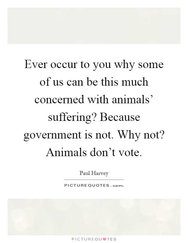 Ever occur to you why some of us can be this much concerned with animals' suffering? Because government is not. Why not? Animals don't vote Picture Quote #1