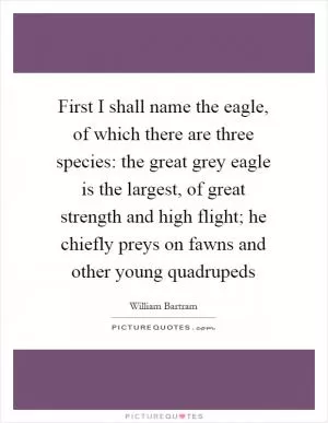 First I shall name the eagle, of which there are three species: the great grey eagle is the largest, of great strength and high flight; he chiefly preys on fawns and other young quadrupeds Picture Quote #1