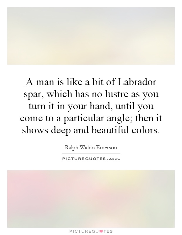 A man is like a bit of Labrador spar, which has no lustre as you turn it in your hand, until you come to a particular angle; then it shows deep and beautiful colors Picture Quote #1