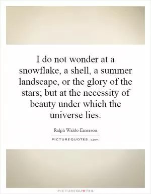 I do not wonder at a snowflake, a shell, a summer landscape, or the glory of the stars; but at the necessity of beauty under which the universe lies Picture Quote #1