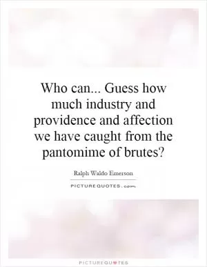 Who can... Guess how much industry and providence and affection we have caught from the pantomime of brutes? Picture Quote #1