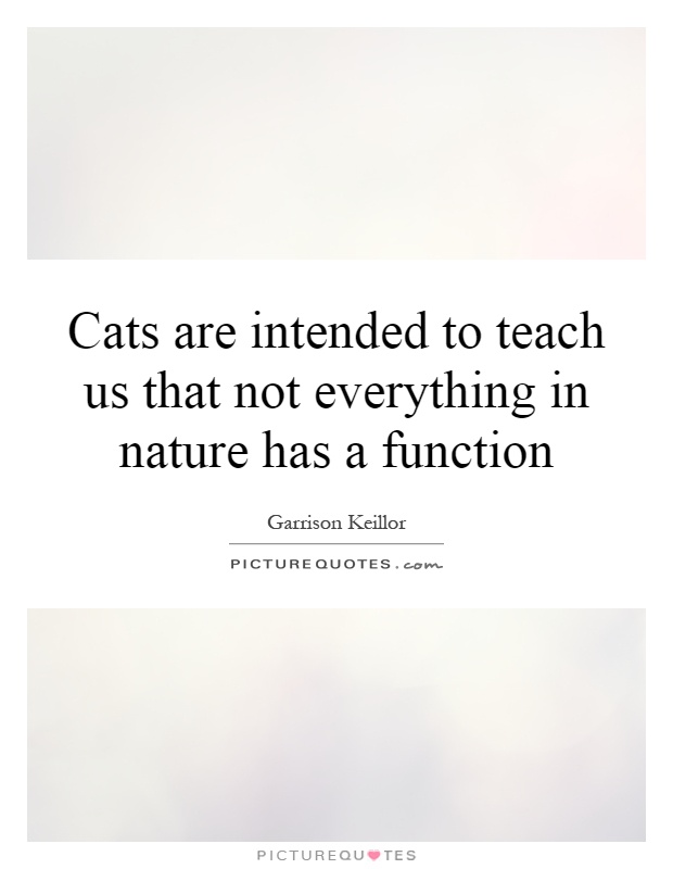 Cats are intended to teach us that not everything in nature has a function Picture Quote #1