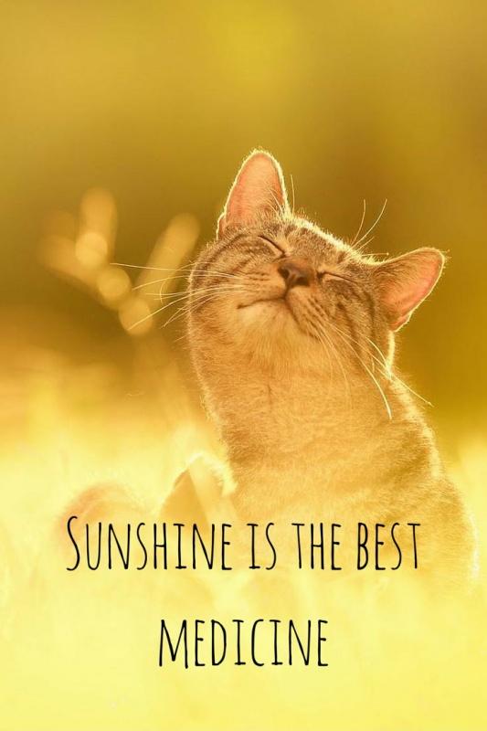 Sunshine is the best medicine Picture Quote #1