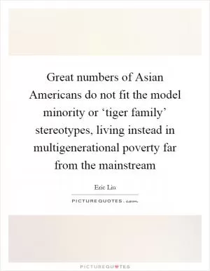 Great numbers of Asian Americans do not fit the model minority or ‘tiger family’ stereotypes, living instead in multigenerational poverty far from the mainstream Picture Quote #1