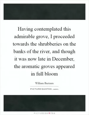 Having contemplated this admirable grove, I proceeded towards the shrubberies on the banks of the river, and though it was now late in December, the aromatic groves appeared in full bloom Picture Quote #1