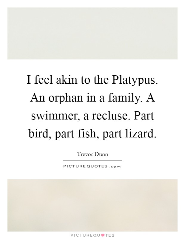 I feel akin to the Platypus. An orphan in a family. A swimmer, a recluse. Part bird, part fish, part lizard Picture Quote #1