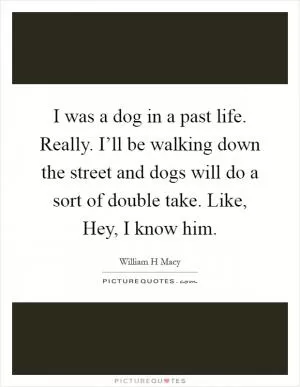 I was a dog in a past life. Really. I’ll be walking down the street and dogs will do a sort of double take. Like, Hey, I know him Picture Quote #1