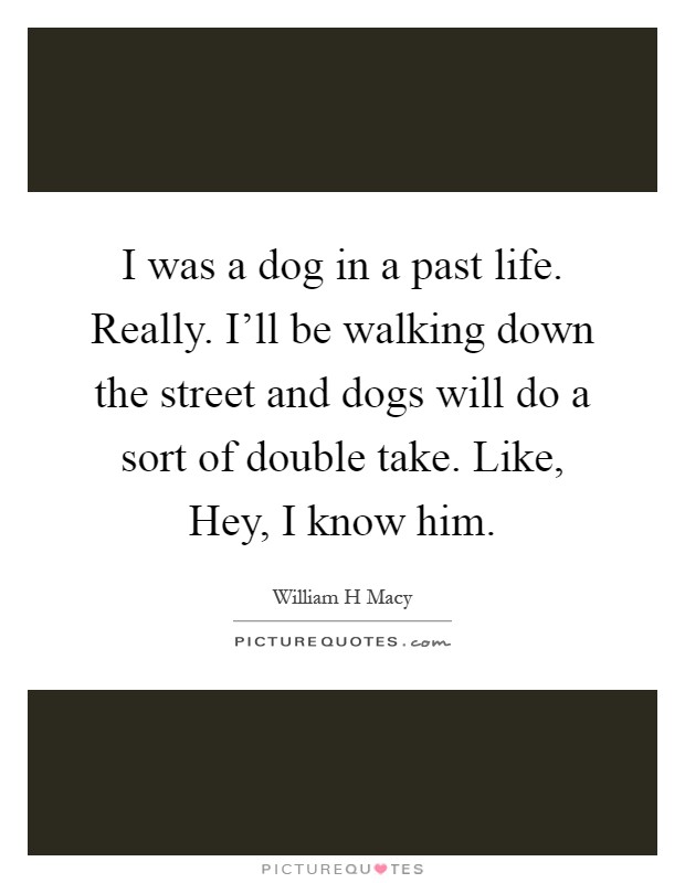I was a dog in a past life. Really. I'll be walking down the street and dogs will do a sort of double take. Like, Hey, I know him Picture Quote #1