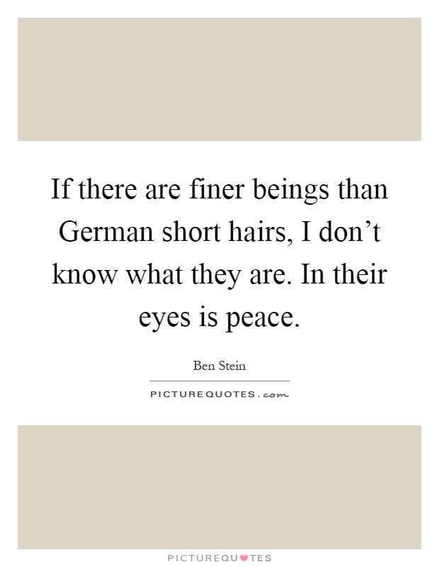 If there are finer beings than German short hairs, I don’t know what they are. In their eyes is peace Picture Quote #1