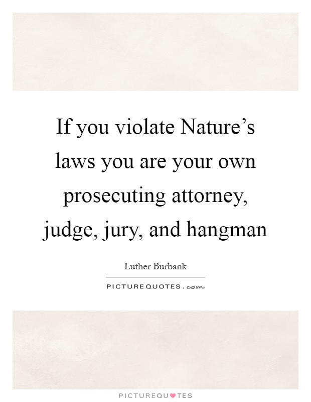 If you violate Nature's laws you are your own prosecuting attorney, judge, jury, and hangman Picture Quote #1