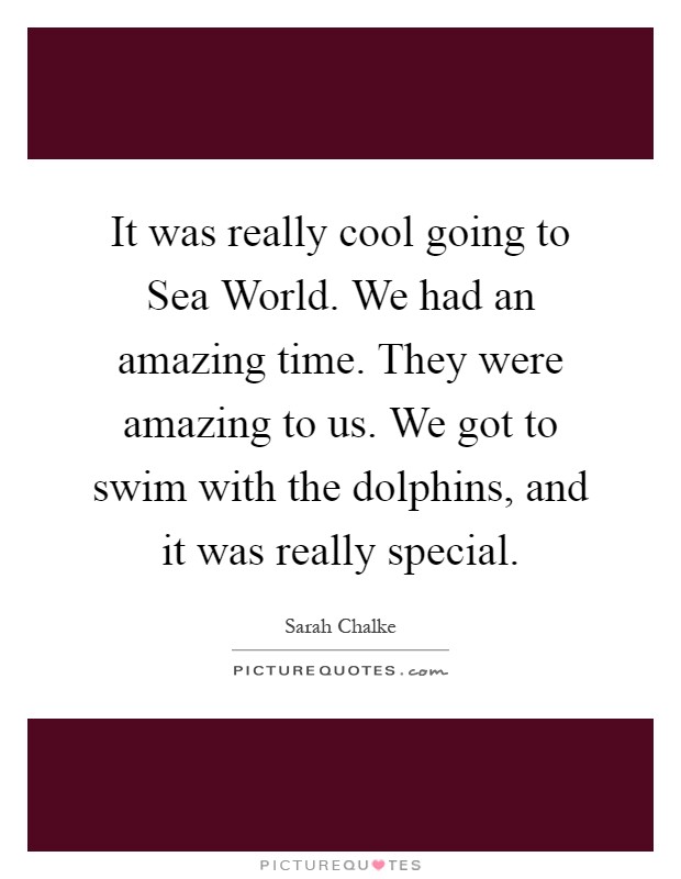 It was really cool going to Sea World. We had an amazing time. They were amazing to us. We got to swim with the dolphins, and it was really special Picture Quote #1