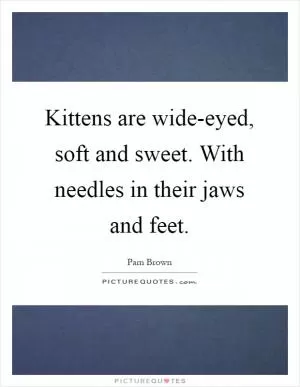 Kittens are wide-eyed, soft and sweet. With needles in their jaws and feet Picture Quote #1