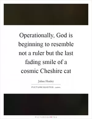 Operationally, God is beginning to resemble not a ruler but the last fading smile of a cosmic Cheshire cat Picture Quote #1