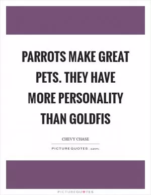 Parrots make great pets. They have more personality than goldfis Picture Quote #1