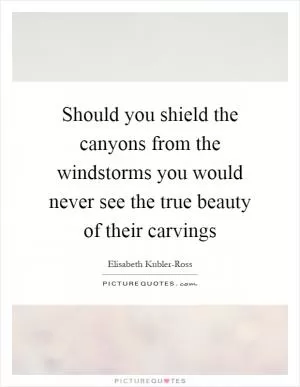 Should you shield the canyons from the windstorms you would never see the true beauty of their carvings Picture Quote #1