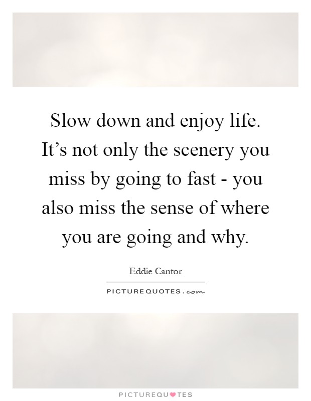 Slow down and enjoy life. It's not only the scenery you miss by going to fast - you also miss the sense of where you are going and why Picture Quote #1