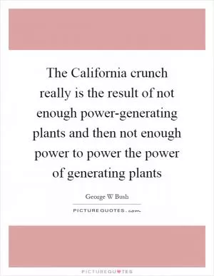 The California crunch really is the result of not enough power-generating plants and then not enough power to power the power of generating plants Picture Quote #1