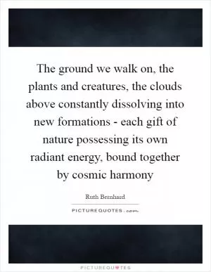 The ground we walk on, the plants and creatures, the clouds above constantly dissolving into new formations - each gift of nature possessing its own radiant energy, bound together by cosmic harmony Picture Quote #1