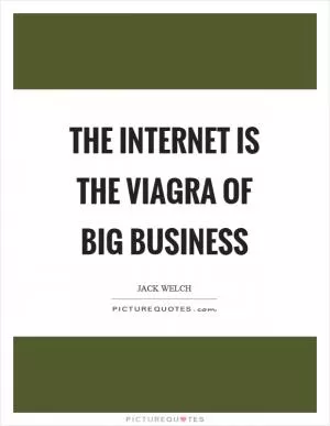 The Internet is the Viagra of big business Picture Quote #1