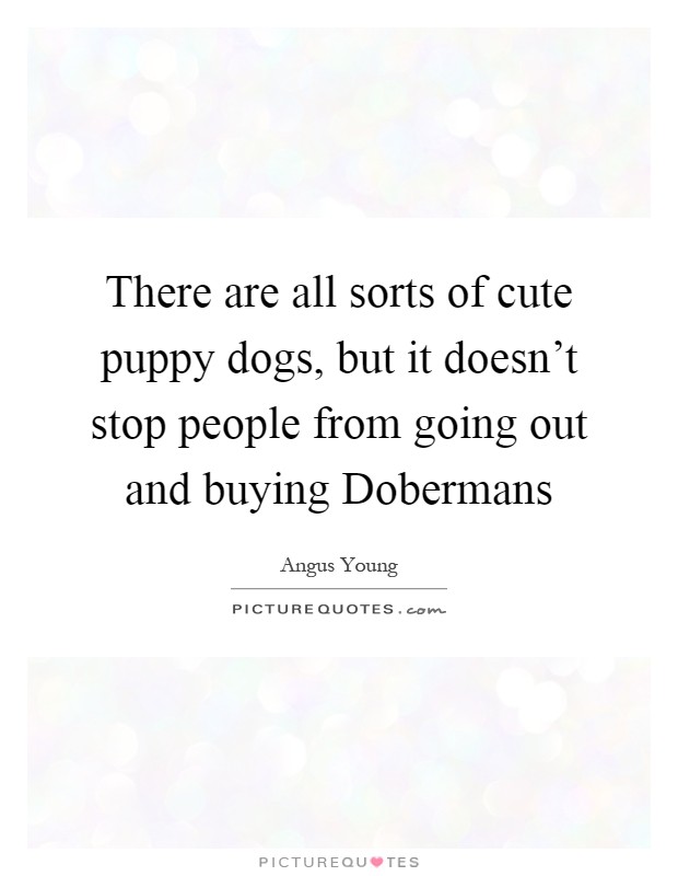 There are all sorts of cute puppy dogs, but it doesn't stop people from going out and buying Dobermans Picture Quote #1