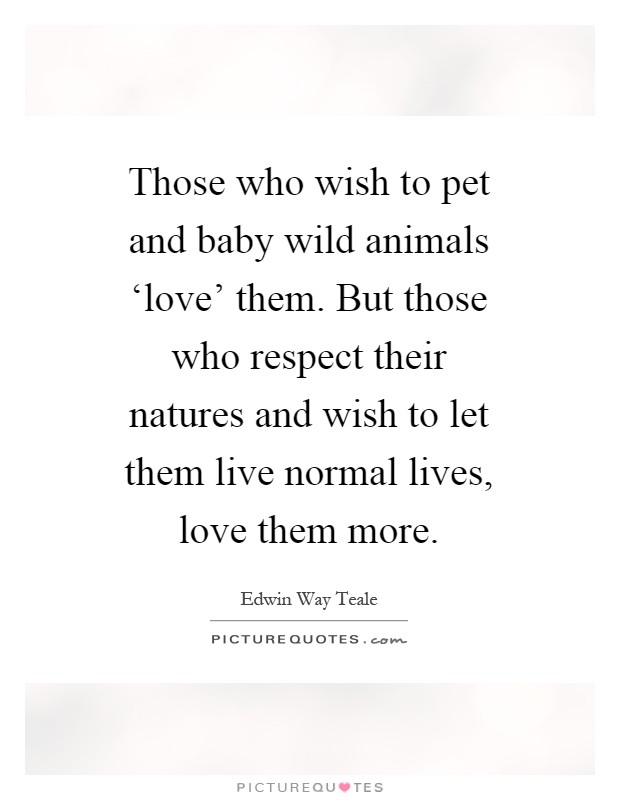 Those who wish to pet and baby wild animals ‘love' them. But those who respect their natures and wish to let them live normal lives, love them more Picture Quote #1