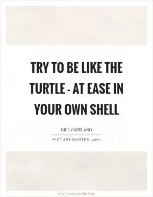 Try to be like the turtle - at ease in your own shell Picture Quote #1