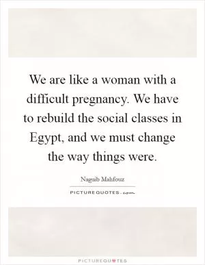 We are like a woman with a difficult pregnancy. We have to rebuild the social classes in Egypt, and we must change the way things were Picture Quote #1