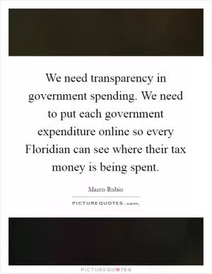 We need transparency in government spending. We need to put each government expenditure online so every Floridian can see where their tax money is being spent Picture Quote #1