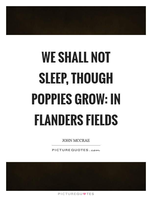 We shall not sleep, though poppies grow: In Flanders fields Picture Quote #1