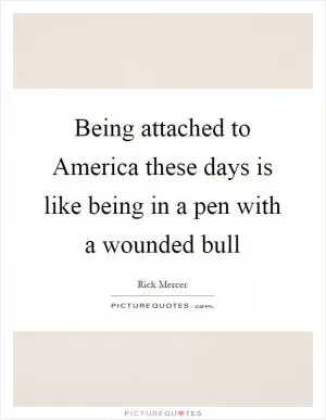 Being attached to America these days is like being in a pen with a wounded bull Picture Quote #1