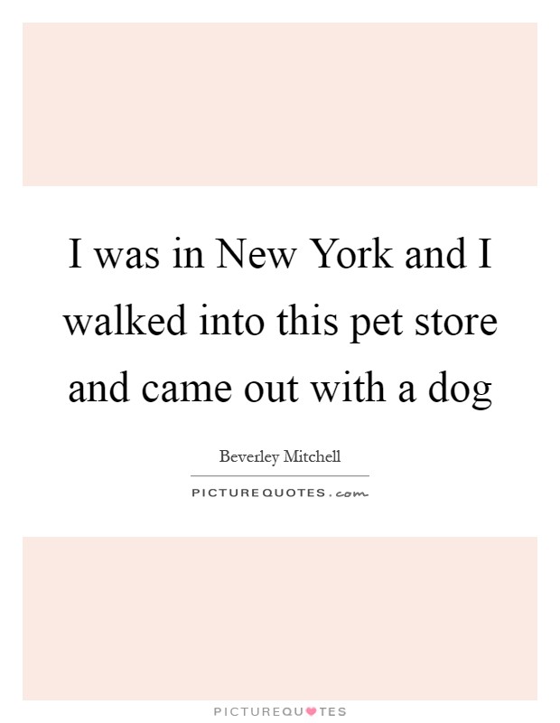 I was in New York and I walked into this pet store and came out with a dog Picture Quote #1