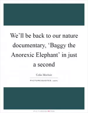 We’ll be back to our nature documentary, ‘Baggy the Anorexic Elephant’ in just a second Picture Quote #1