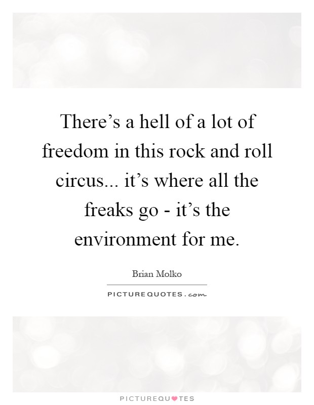 There's a hell of a lot of freedom in this rock and roll circus... it's where all the freaks go - it's the environment for me Picture Quote #1