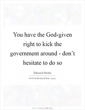 You have the God-given right to kick the government around - don’t hesitate to do so Picture Quote #1