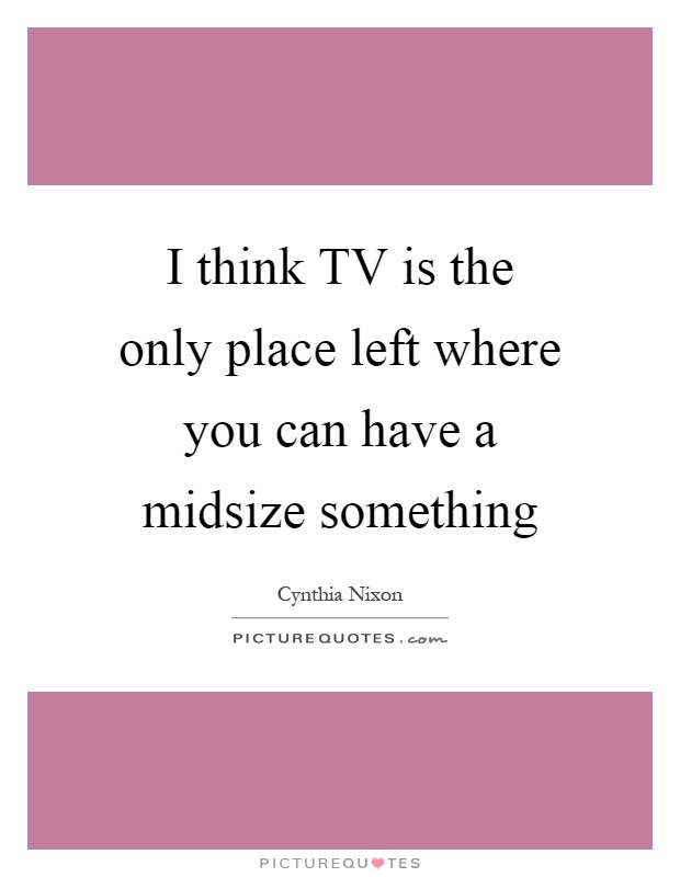 I think TV is the only place left where you can have a midsize something Picture Quote #1