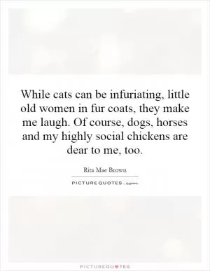 While cats can be infuriating, little old women in fur coats, they make me laugh. Of course, dogs, horses and my highly social chickens are dear to me, too Picture Quote #1