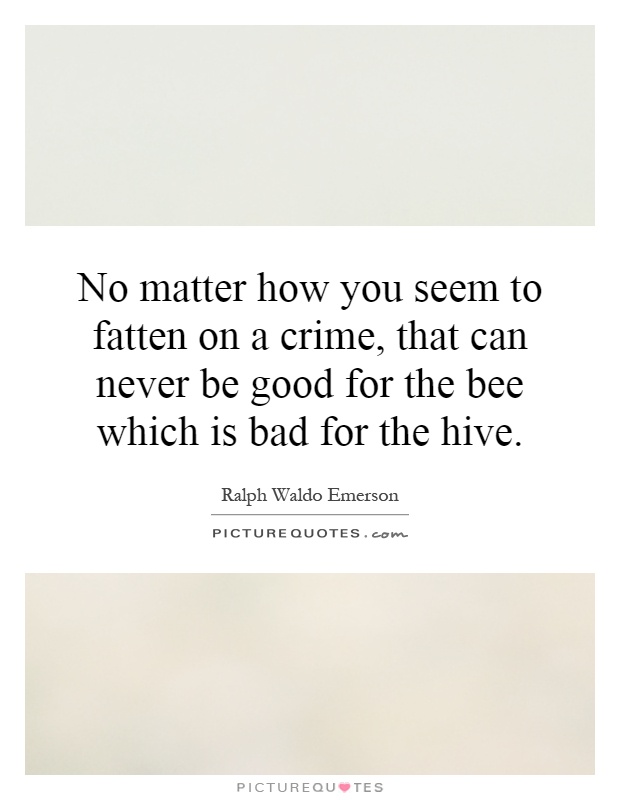 No matter how you seem to fatten on a crime, that can never be good for the bee which is bad for the hive Picture Quote #1