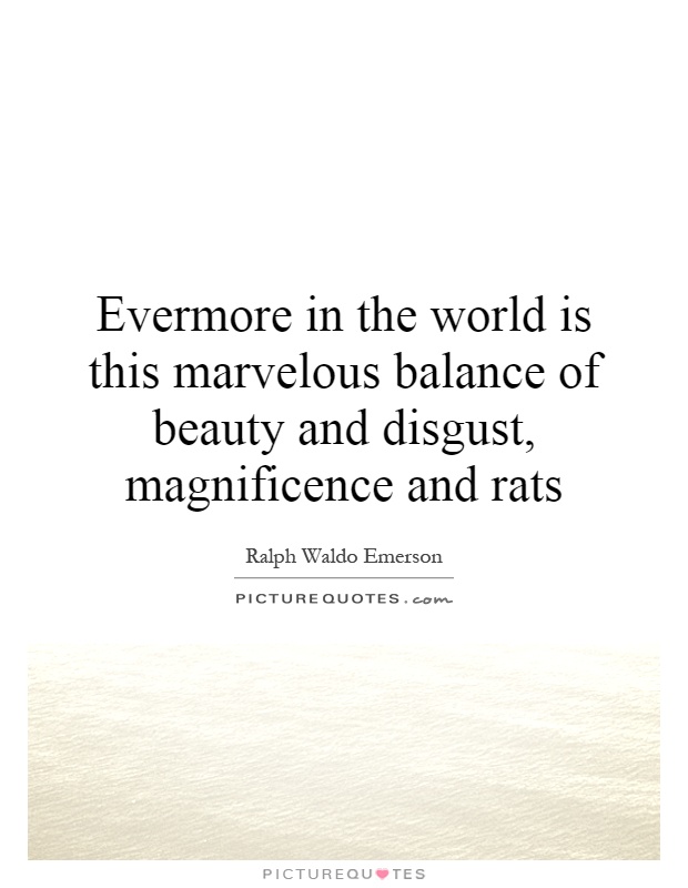 Evermore in the world is this marvelous balance of beauty and disgust, magnificence and rats Picture Quote #1