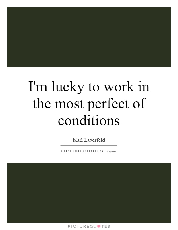I'm lucky to work in the most perfect of conditions Picture Quote #1