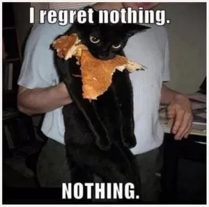 I regret nothing. Nothing! Picture Quote #1