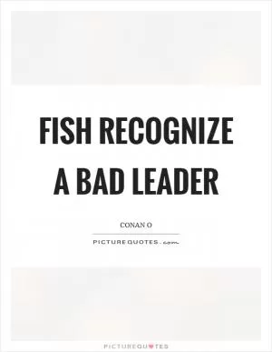 Fish recognize a bad leader Picture Quote #1