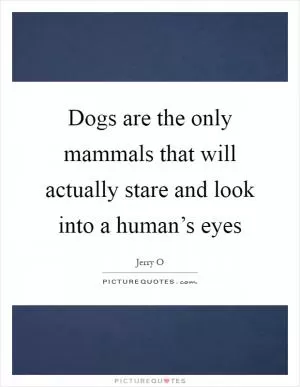 Dogs are the only mammals that will actually stare and look into a human’s eyes Picture Quote #1