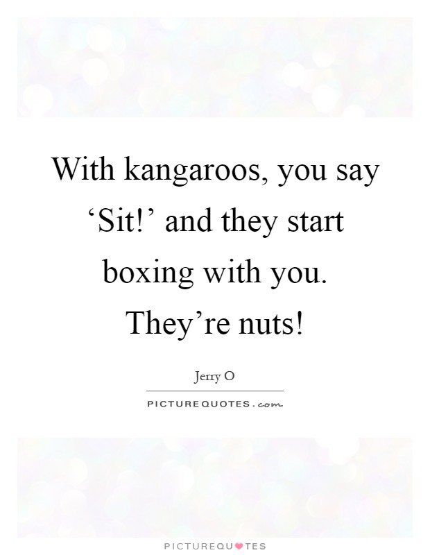 With kangaroos, you say ‘Sit!' and they start boxing with you. They're nuts! Picture Quote #1
