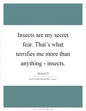 Insects are my secret fear. That’s what terrifies me more than anything - insects Picture Quote #1