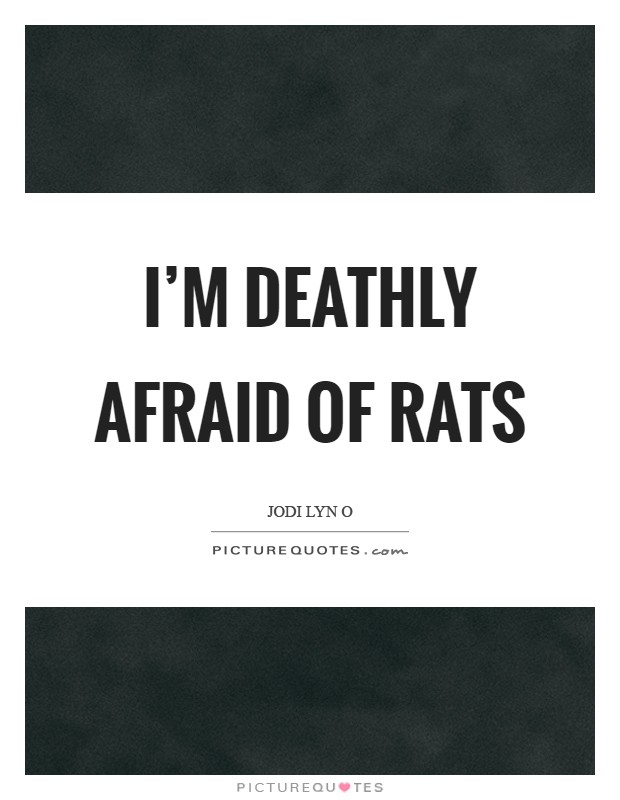 I'm deathly afraid of rats Picture Quote #1
